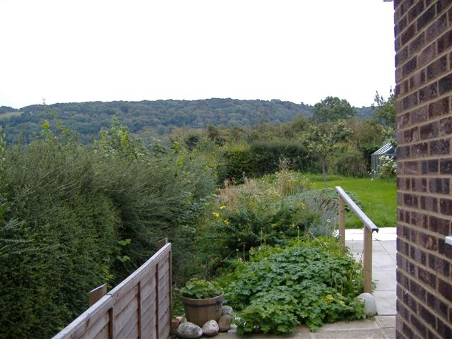 Green Fingers - Decking Area - Before