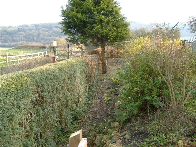 Green Fingers - Retaining Wall - Before